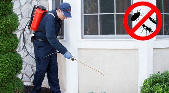 Dilovası Bit İlaçlama böcek ilaçlama ve haşere kontrolü — ilaclama-tr.com